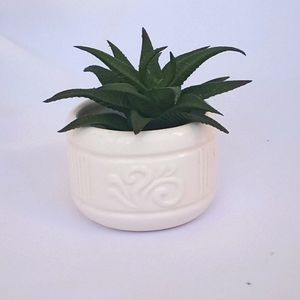 Small Cermic Planter